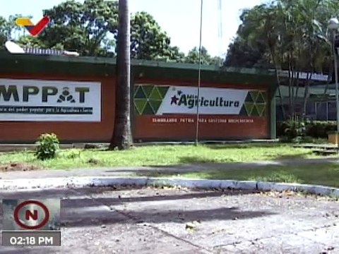 Instalan mesa técnica de cacao en Barinas para aumentar la producción y consumo de chocolate