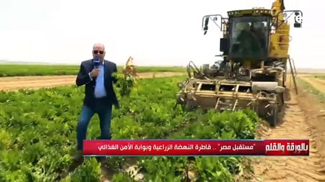 اكتفاء ذاتي من السكر من أفكار غير مسبوقة.. جولة للديهي من داخل مشروع مستقبل مصر و حصاد بنجر السكر