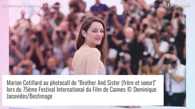 Marion Cotillard scintillante en robe bustier ou chic tout en violet, festival de looks à Cannes !