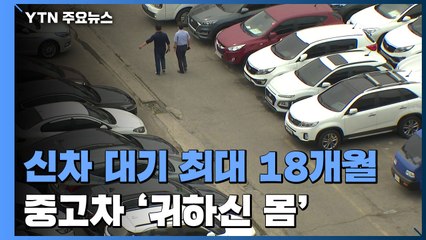 신차 대기 최대 18개월...'귀하신 몸' 중고차 / YTN