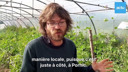 Yoann Morice, paysan bio à Chauvé, Loire-Atlantique