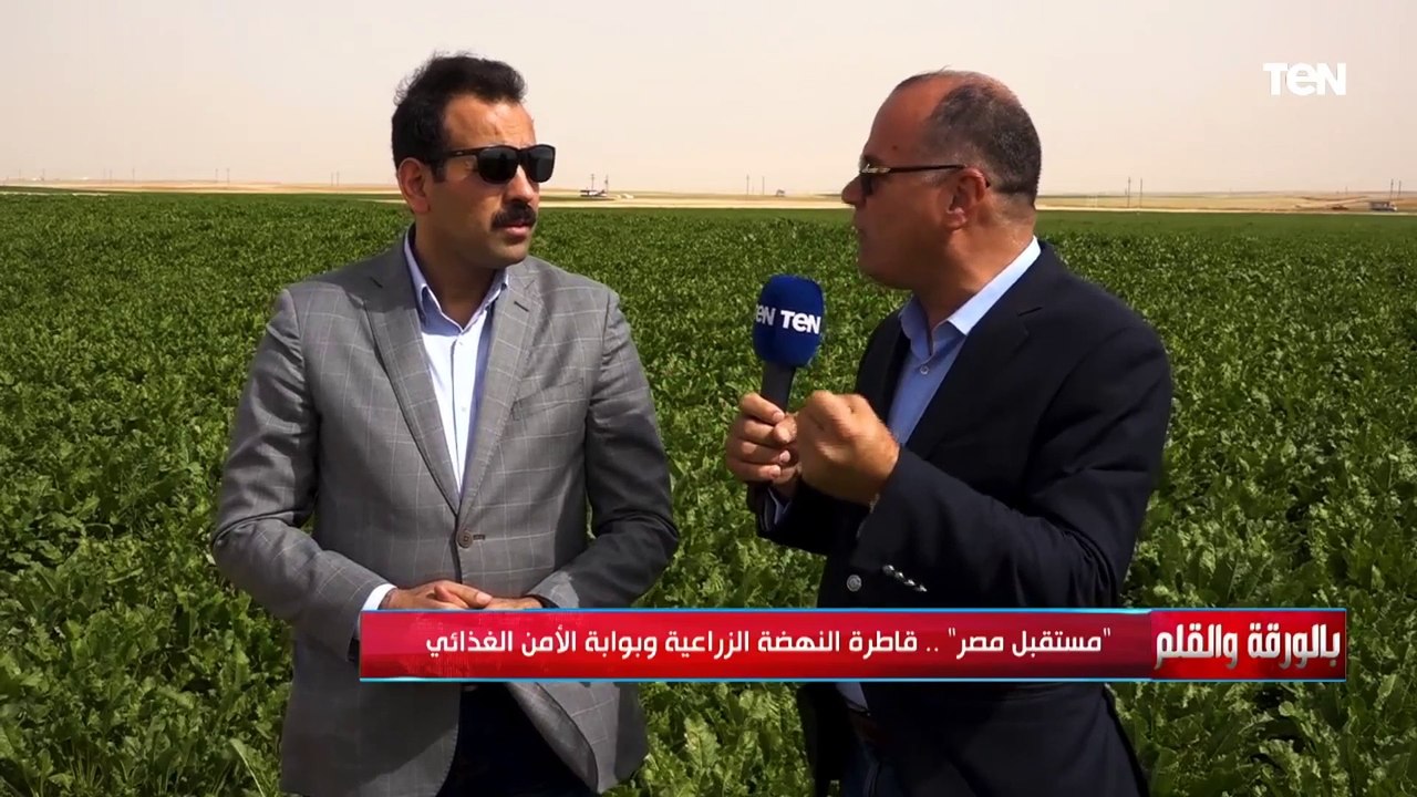 " هدفنا مليون و50 ألف فدان" مدير مشروع مستقبل مصر يكشف مراحل نمو وأهداف المشروع