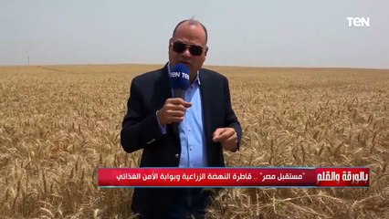 الديهي: رغم إن الظروف متغيرتش لكن رؤية الرئيس السيسي وإيمان من حوله هي سبب نجاح مشروع الدلتا الجديدة