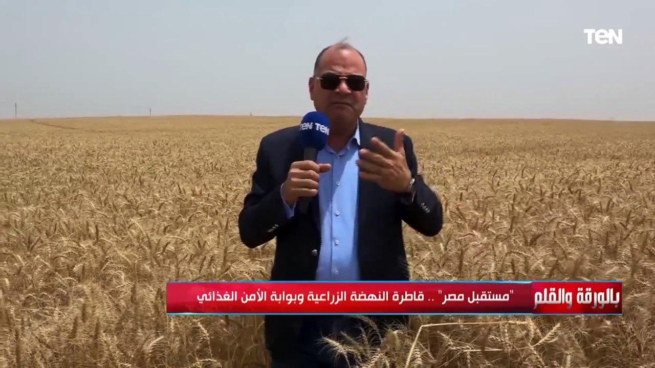 الديهي: آن لنا أن نفرح بالدلتا الجديدة فهو يمثل طاقة نور وأمل وما يجري خلية نحل لتغيير واقع الناس