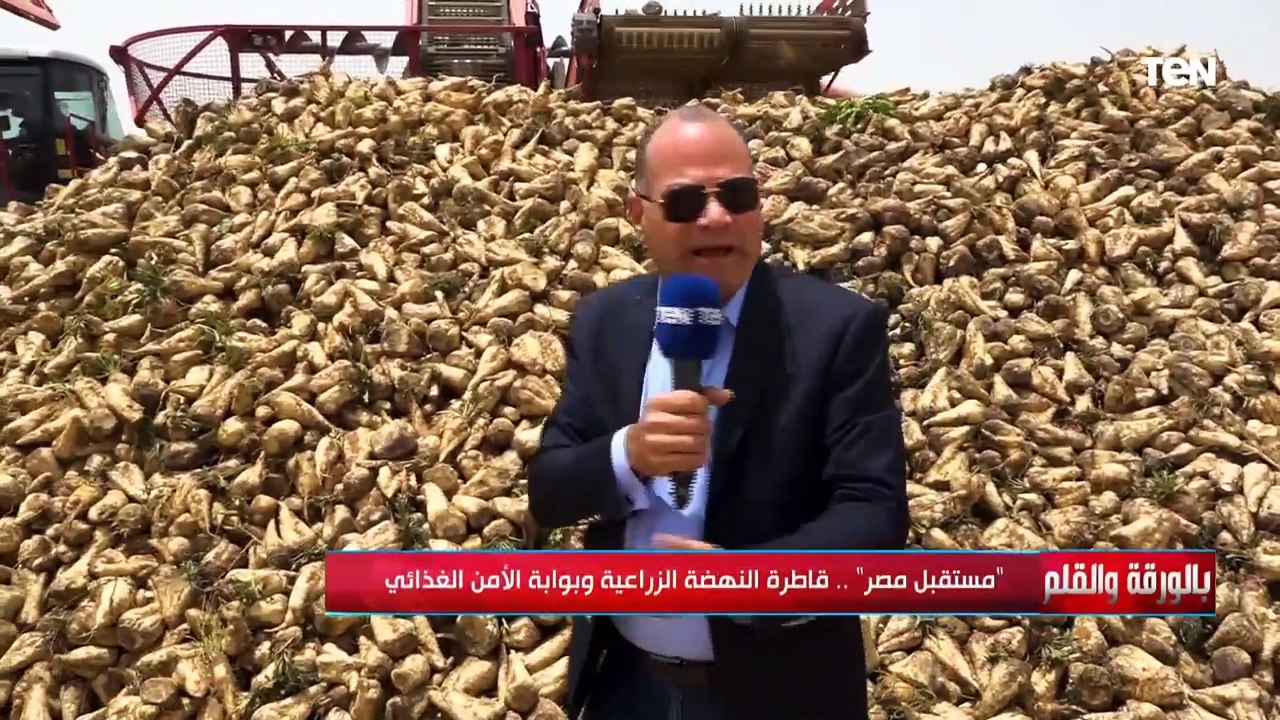 منظر يدعو للفرح والفخر  من أمام محصول بنجر السكر.. هكذا حولت الدولة المصرية التحديات إلى فرص حقيقية
