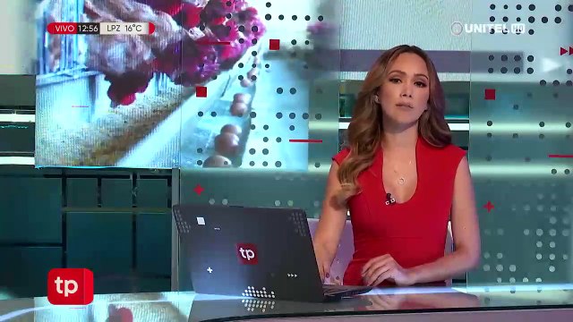 Productores avícolas niegan sobreproducción como causa del cierre de granjas