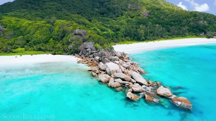 Africa 4K - Scenic Relaxation Film With Calming Music