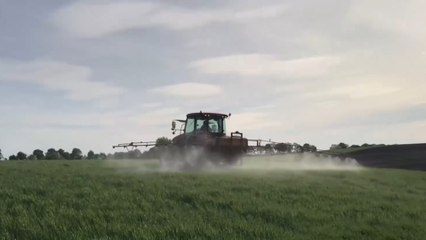 أزمة تصدير القمح الأوكراني إلى العالم.. ما تداعياتها؟