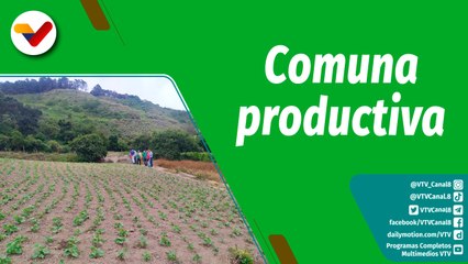Cultivando Patria | Comuna de productores y productoras "Che Guevara"