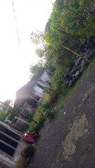 Video pagi hari sunrise di pedesaan PART 1