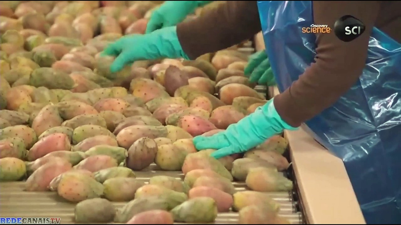 #389 -- O Segredo das Coisas