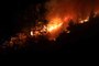 Alanya'da orman yangınında 3 dekar alan zarar gördü