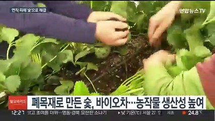 비닐하우스 연작피해…폐목재 활용 숯으로 해결