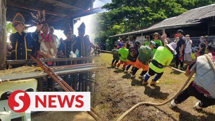 Kaamatan comes alive again with return of traditional sports