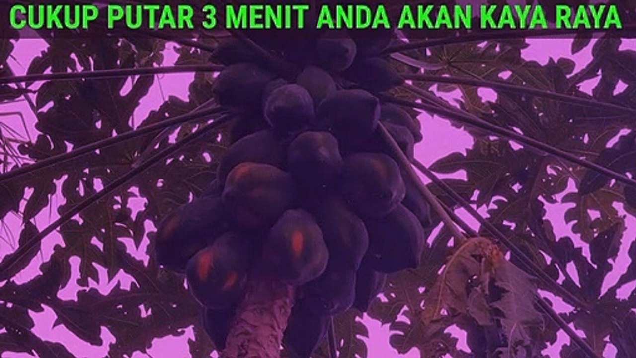 Mustahil Kamu Miskin, Tidak Mungkin Gagal Baca Di Waktu Ini Kamu Bakal Di Hujani Uang
