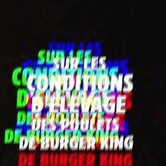 Dans une vidéo, l'association L214 dévoile les conditions d'élevages des poulets servis dans les Burger King en France... et les images font froid dans le dos