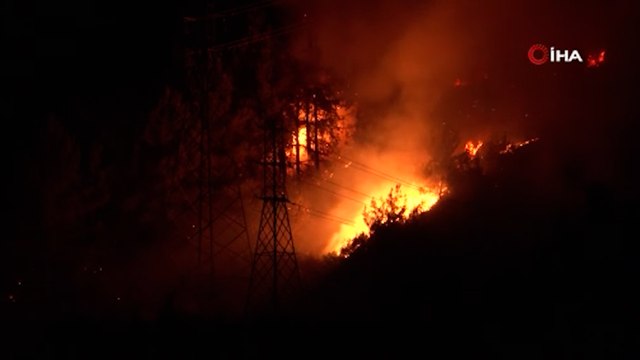 Alanya’da orman yangınında 3 dekar alan zarar gördü