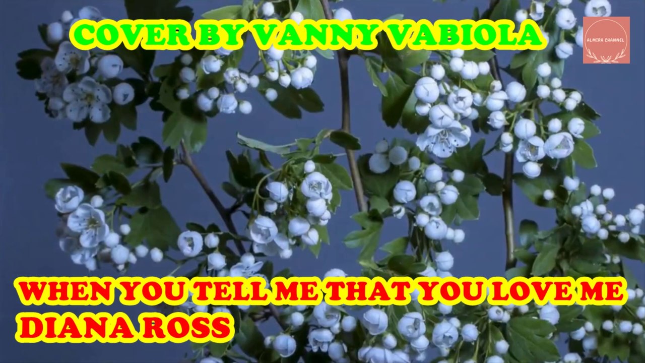 WHEN YOU TELL ME THAT YOU LOVE ME - DIANA ROSS COVER BY VANNY VABIOLA