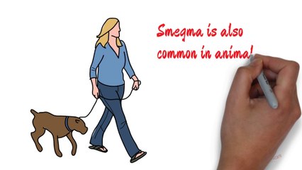 Dog Smegma- white sticky cheese substance on the dog's penis