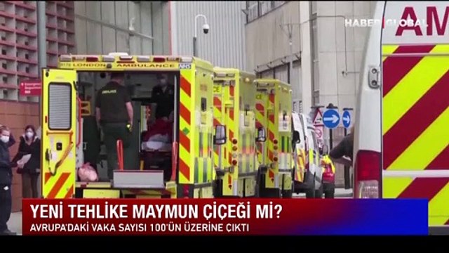 Maymun çiçeğine karşı önlemler arttı: Yeni tehlike maymun çiçeği virüsü mü?