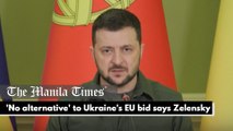 'No alternative' to Ukraine's EU bid says Zelensky