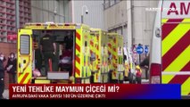 Dünyada Maymun çiçeği virüsü alarmı: 13 ülkede görüldü!