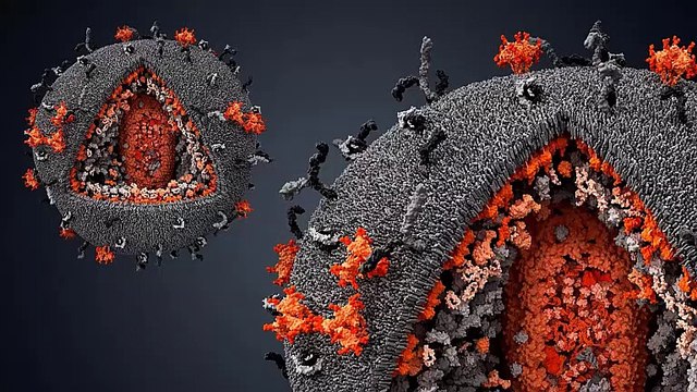 Türkiye'de maymun çiçeği görüldü mü? Sağlık Bakanlığı'ndan açıklama