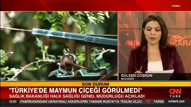 SON DAKİKA: Türkiye'de maymun çiçeği vakası görüldü mü? Sağlık Bakanlığı'ndan açıklama