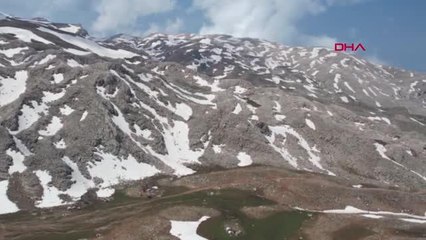 TOROSLARDA MAYISTA KAR MANZARALARI