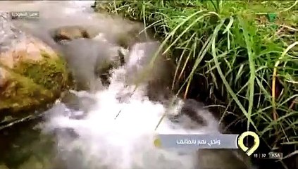 «وادي نمار».. طبيعة خلابة تحتضنها جبال الطائف الشاهقة