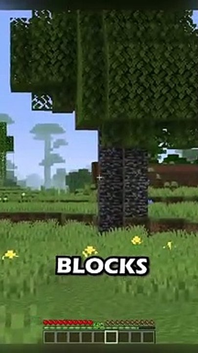 Minecraft but blocks are in creative mode
