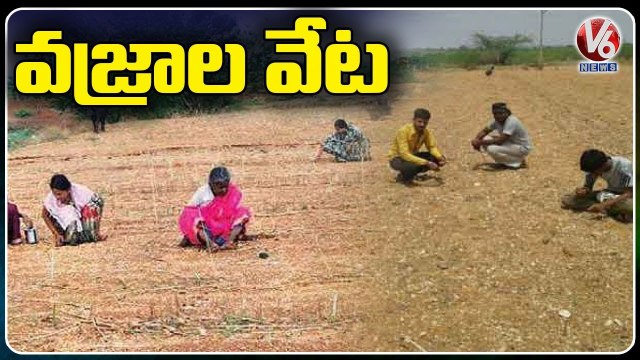 Villagers Hunt For Diamonds In Kurnool District | V6 News