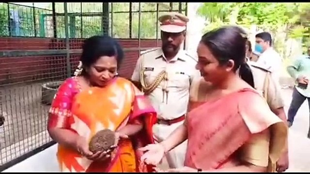 உங்களை நல்லா பாத்துக்கறாங்களா? அழகா இருக்கு! ஆந்தையாரை நலம் விசாரித்த தமிழிசை