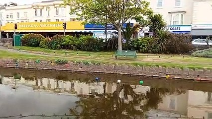 Dawlish stream Devon