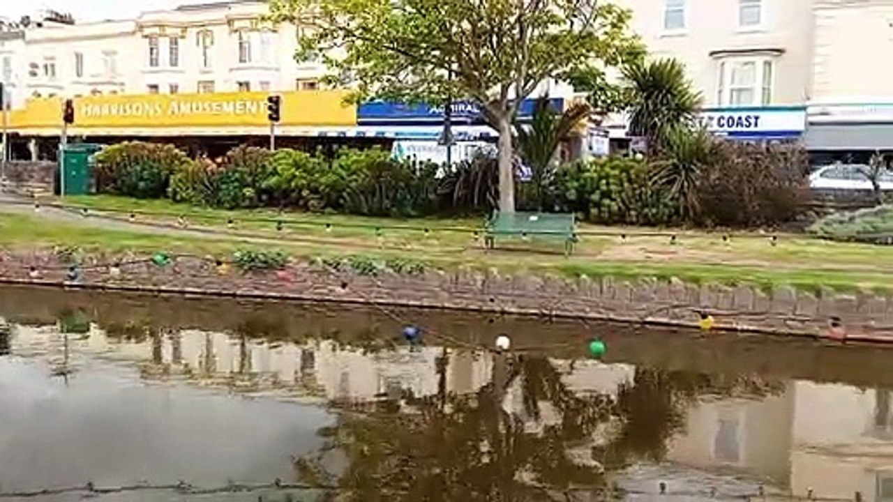 Dawlish stream Devon