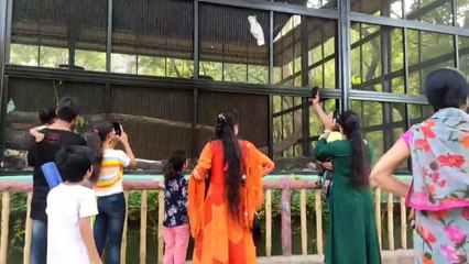 बर्ड पार्क में लोगों की चहल पहल :