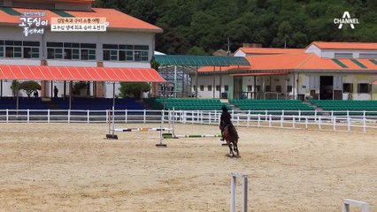 당근 주며 말과 친해지는 시간을 가지지만, 여전히 말이 무서운 두심(ㅠ_ㅠ)