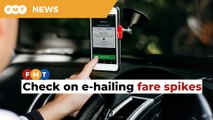 Govt to monitor e-hailing amid complaints of fare spike