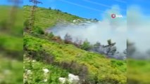 Karaburun ve Dikili'de makilik yangını