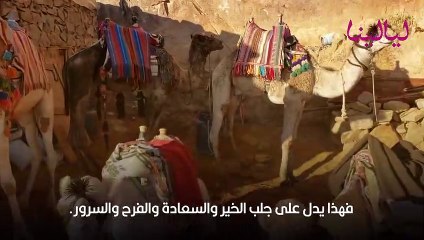 تفسير حلم الإبل