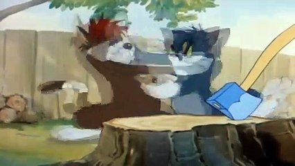 Video Cartoon Tom and Jerry so funny_ Cartoon Videos