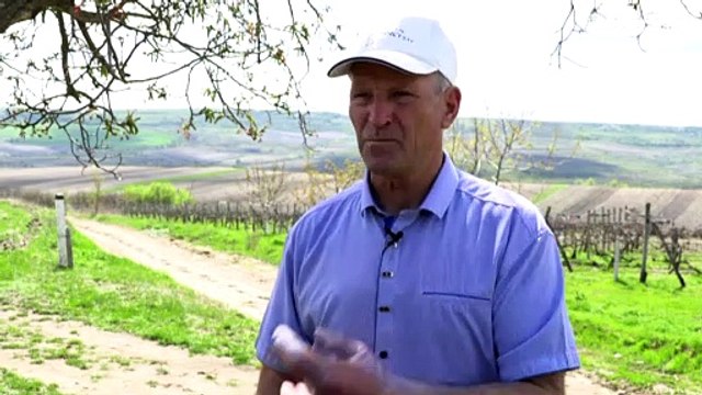 Молдавские виноделы сделали ставку на европейский рынок