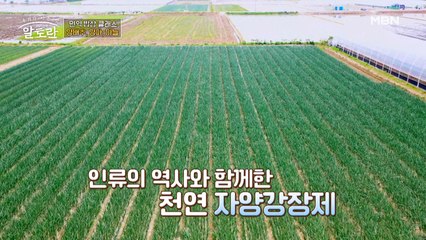 인류 최고의 '천연 자양강장제'의 정체는?