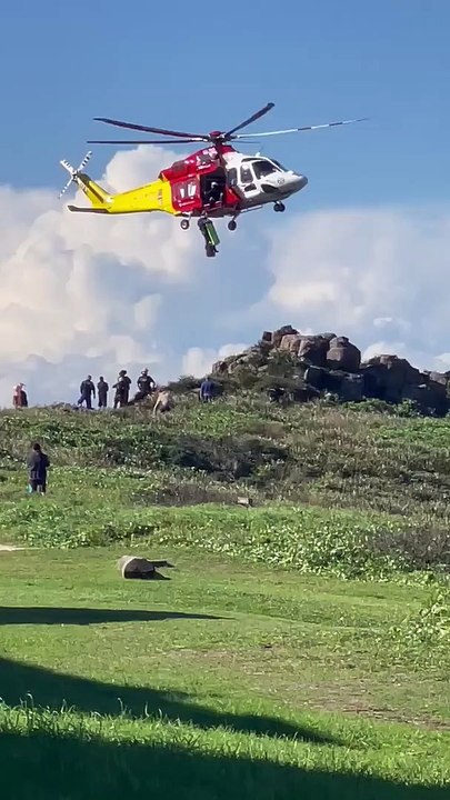 Westpac Rescue Helicopter crew rescues woman from cliff fall at Anna Bay