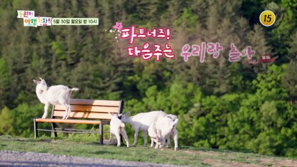 풀 만난 사슴(?) 민호 삼촌, 새 파트너를 만나다?!_동원아 여행가자 5회 예고 TV CHOSUN 220530 방송