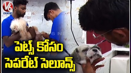 పెట్స్ కోసం సెపరేట్ సెలూన్స్ ప్రారంభం _ New Shops Opening For Pets In Hyderabad _ V6 News