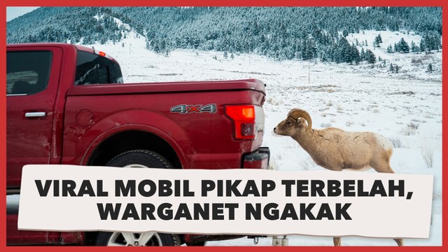 Viral Mobil Pikap Terbelah, Warganet Ngakak Sampai Ngomong Ini
