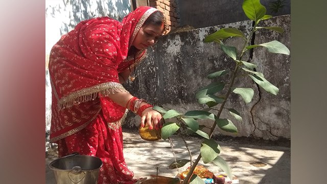 Vat Savitri 2022 Puja Vidhi: वट सावित्री 2022 पूजा विधि | वट सावित्री पूजा कैसे करते है | Boldsky