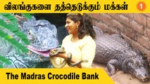 Steffi | நெற்றிக்கண் உள்ள அரியவகை Iguana உயிரினம் | #Interview | Oneindia Tamil