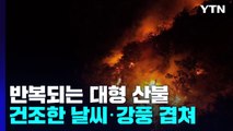 반복되는 대형 산불...건조한 날씨·강풍 겹쳐 / YTN